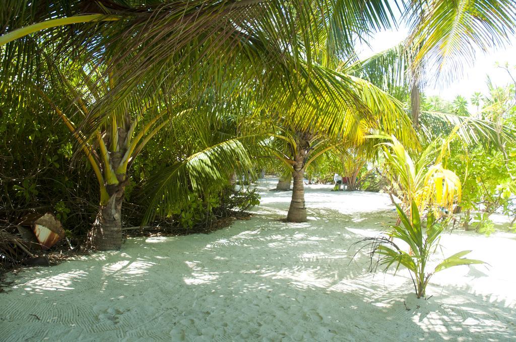 Palm Garden Otel Thoddoo Dış mekan fotoğraf